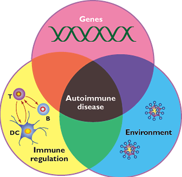 Factors influencing autoimmune disease/نوید سلامت
